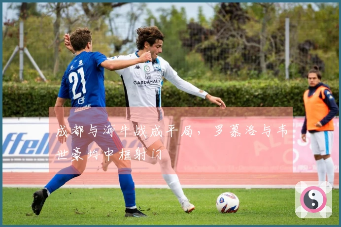 成都与海牛战成平局，罗慕洛与韦世豪均中框射门